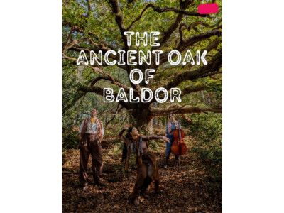 The Ancient Oak Of Baldor