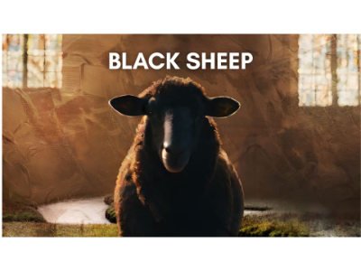 Black Sheep