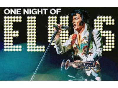 One Night of Elvis