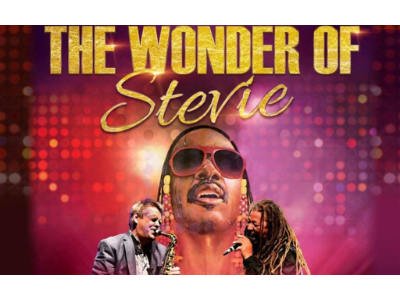 Wonder of Stevie