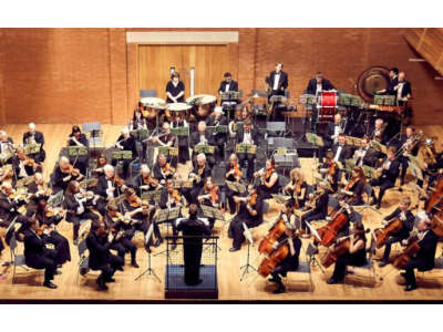 Wolsey Orchestra Concert