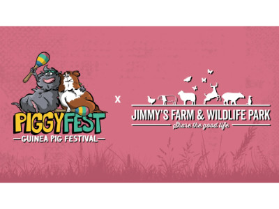 Piggy Fest