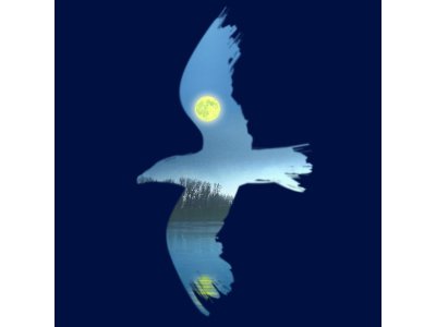 THE SEAGULL