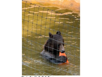 Jimmy's Farm & Wildlife Park