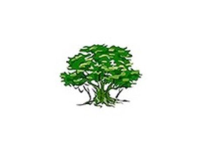 Reydon Primary presents Wind of the Willows