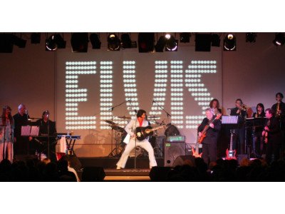Elvis In Concert