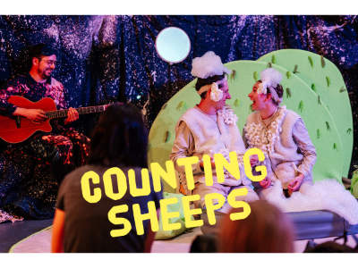 Counting Sheeps