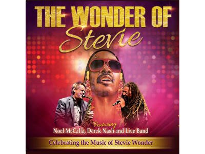 The Wonder of Stevie