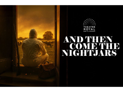 And Then Come The Nightjars