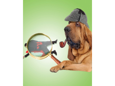 Roughcast Theatre present – The Real Inspector Hound & A Separate Peace by Tom Stoppard