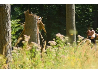 Sam Belinfante and Neil Luck