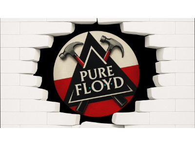 PURE FLOYD - THE WALL LIVE