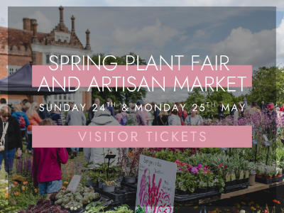 Spring Plant Fair with Artisan Market