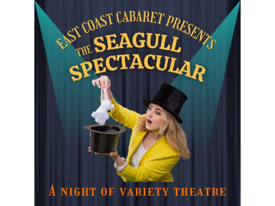 The Seagull Spectacular – Seagull Fundraiser