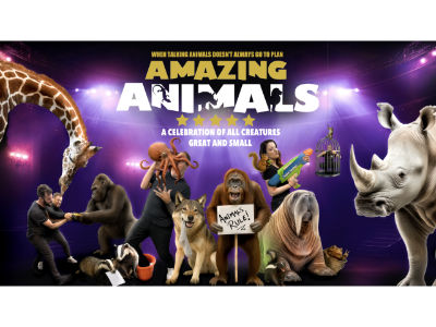 The Animal Guyz – Amazing Animals
