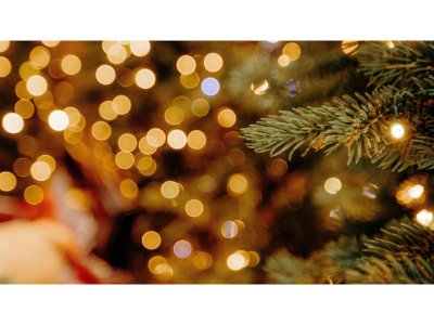 Christmas Trail in the Park