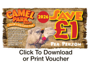 Oasis Camel Park - Linstead Nr Halesworth 1 26 12 CP Oasis Camel Park Offer 1