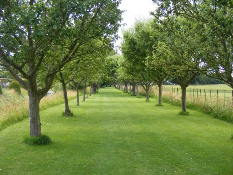 Helmingham Hall Gardens
