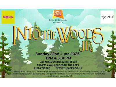 Into The Woods JR