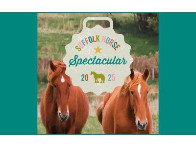 Suffolk Horse Spectacular