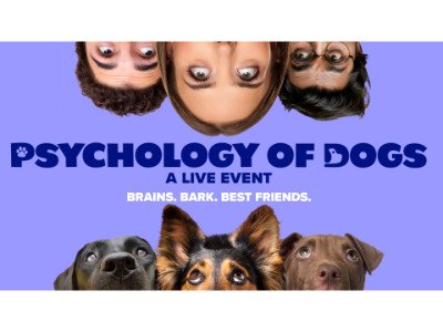The Psychology of Dogs