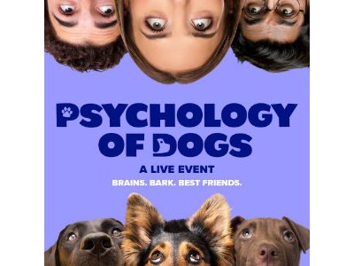 The Psychology of Dogs