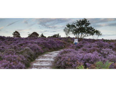 Talk: The History of Dunwich Heath