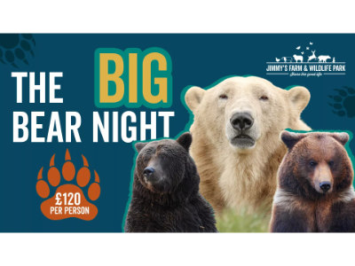 The Big Bear Night