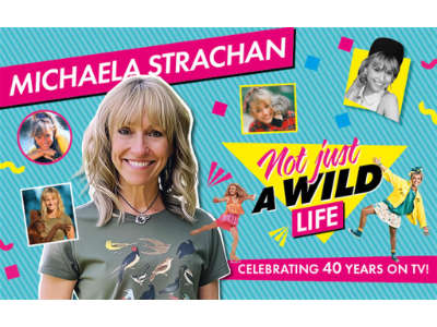 Michaela Strachan - Not Just A Wild Life