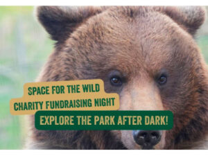 Wild Night at Jimmy's Farm and Wildlife Park