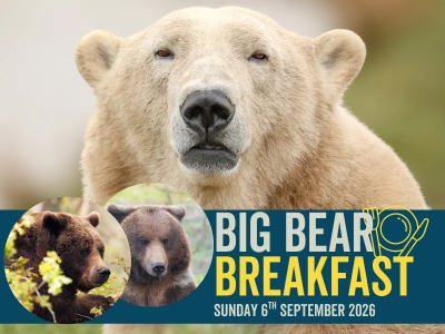 Big Bear Breakfast