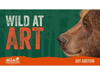 Wild At Art