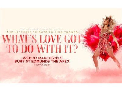 What's Love Got To Do With It?