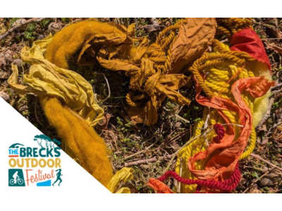 Natural Dyeing Workshop