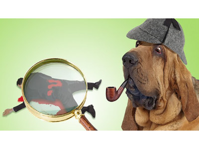 The Real Inspector Hound and A Separate Piece