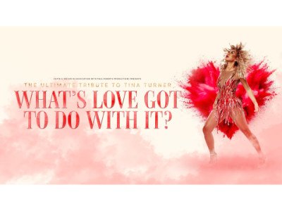 WHATS LOVE GOT TO DO WITH IT