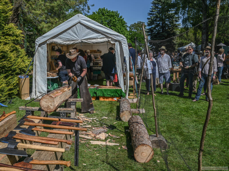 Weird and Wonderful Wood - 9th & 10th May 2026