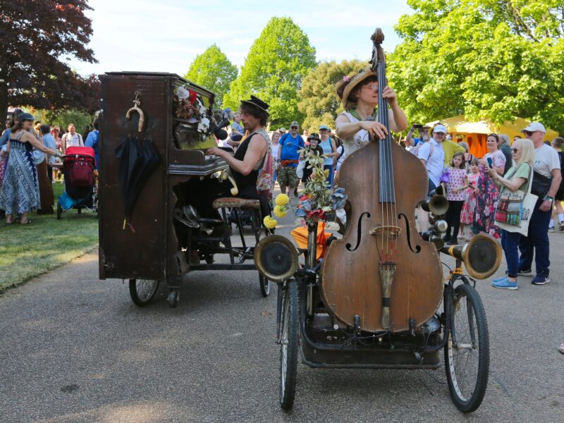 Weird and Wonderful Wood - 9th & 10th May 2026