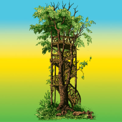 Weirdandwonderfulwood