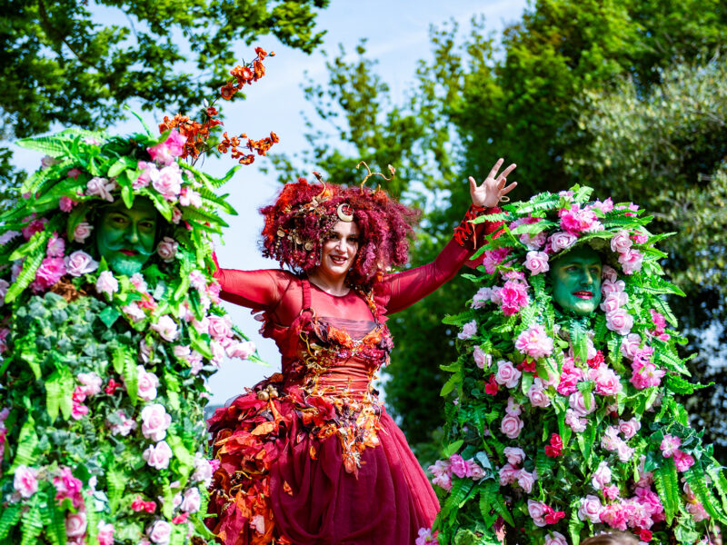 Weird and Wonderful Wood - 9th & 10th May 2026