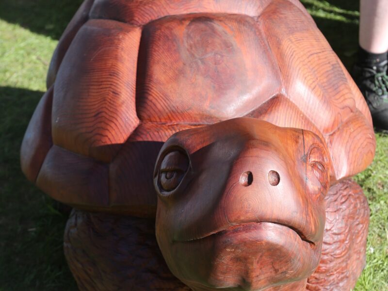 Weird and Wonderful Wood - 9th & 10th May 2026